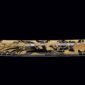 GoldenPhoenixKatana08