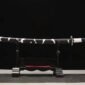 ShinazugawaSanemiKatana_1