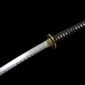 realkatana07_75d5aa3c-7f70-4bdc-b7e7-882679313245