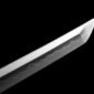 realsword05